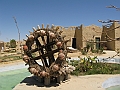 Oasi di Siwa_47